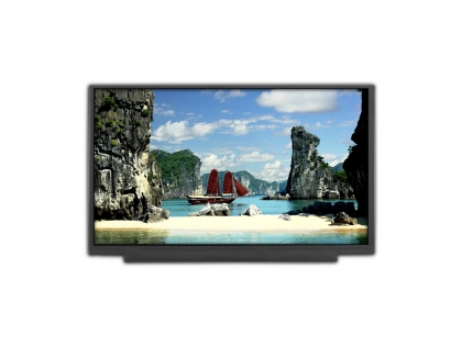 11.6寸液晶屏 1920*1080分辨率 直排 30pin EDP接口 11.6寸TFT LCD液晶模組